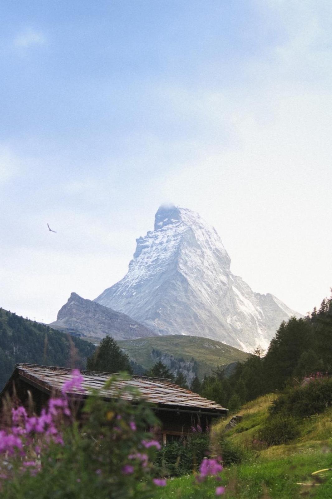 Studio Wolli - Stylish & Central - Steps To Matterhorn Gondola Zermatt Eksteriør bilde